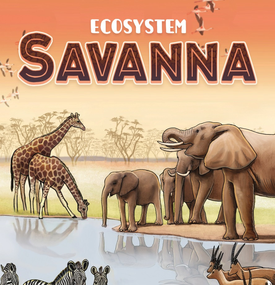 Ecosystem : Savanna