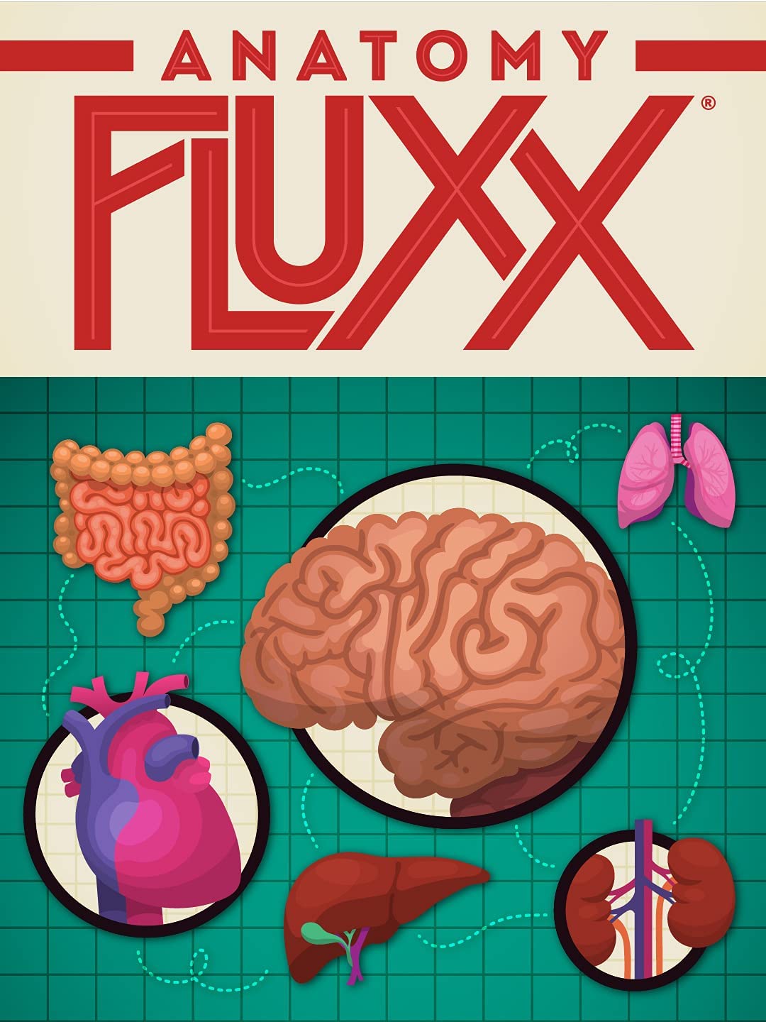 Fluxx : Anatomy Fluxx