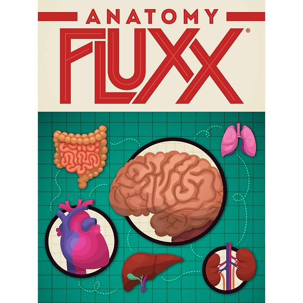 Fluxx : Anatomy Fluxx