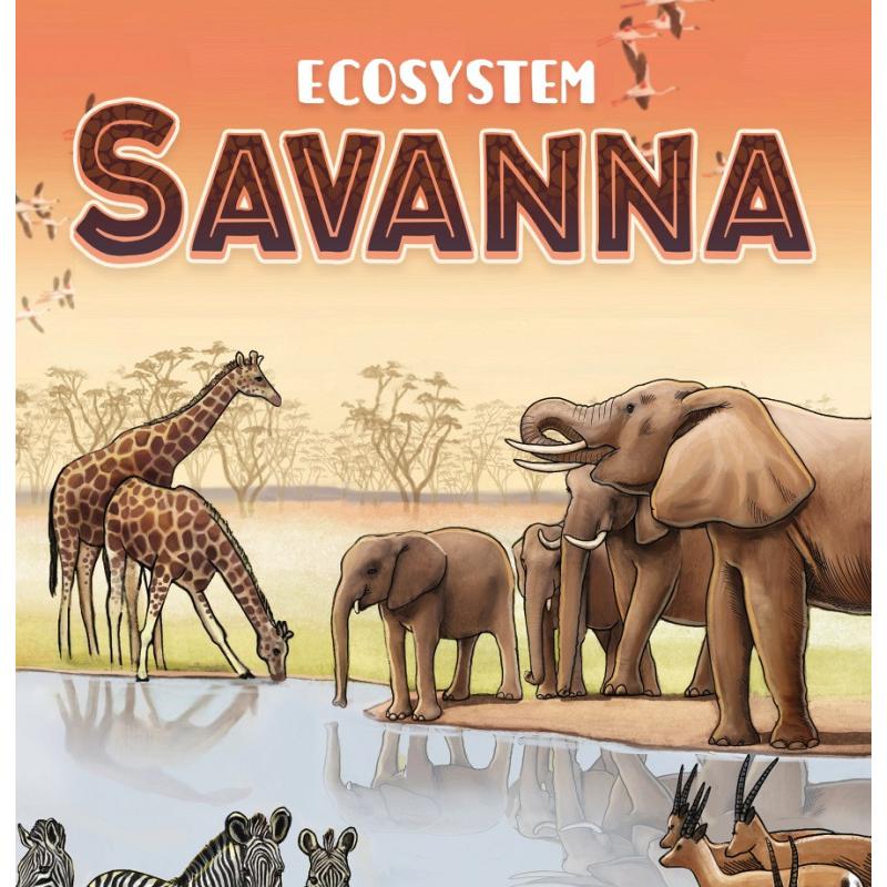 Ecosystem : Savanna