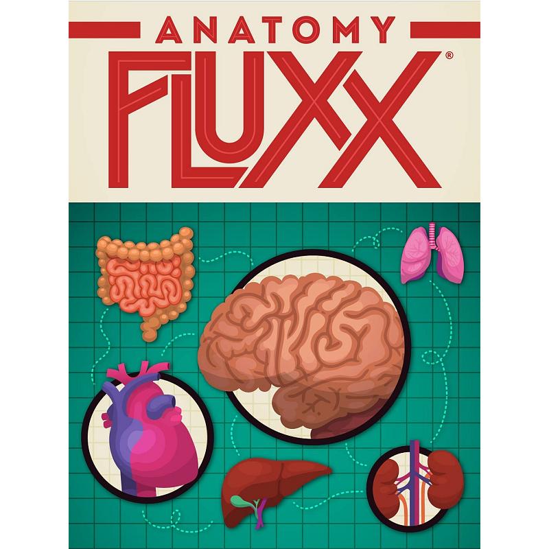 Fluxx : Anatomy Fluxx